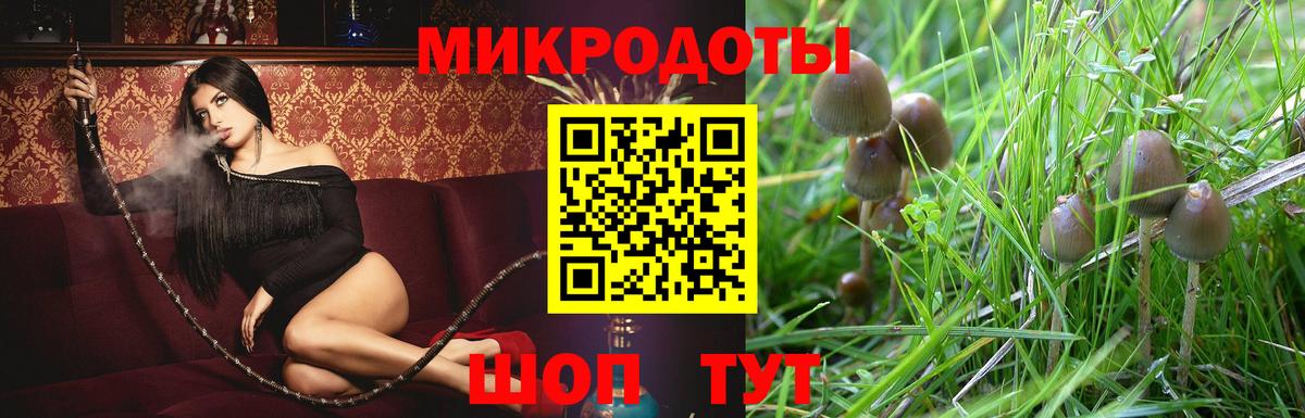 Серов  Галлюциногенные грибы ЛСД  Вход с VPN 