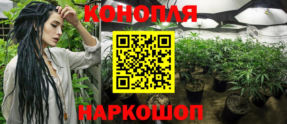 Каннабис SATIVA & INDICA  Конопля Amnesia  Вход с VPN  Серов  Марихуана White Widow 
